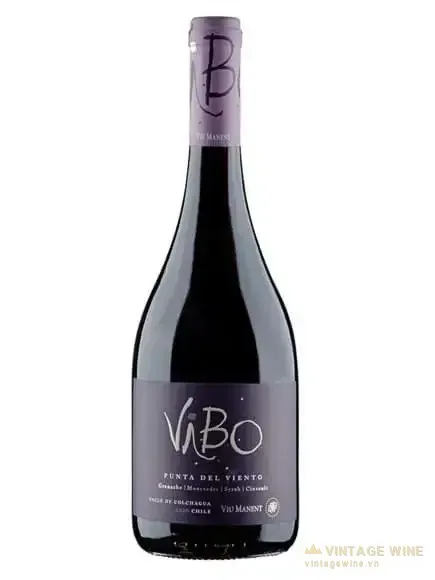 Rượu vang Vibo Punta Del Viento