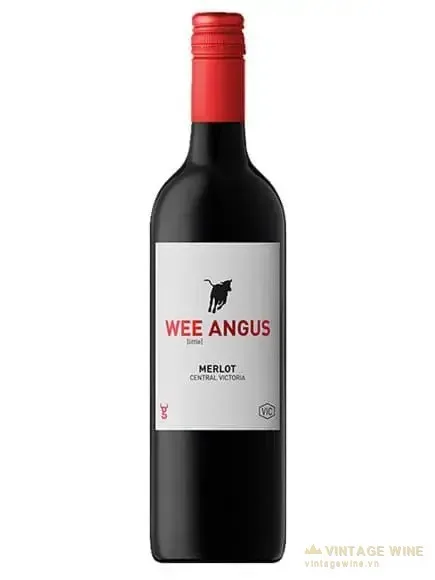 Rượu vang Wee Angus Merlot