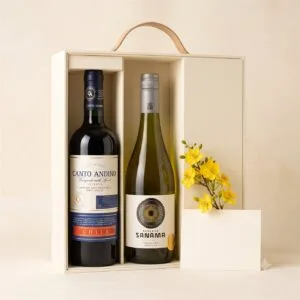 Ảnh minh họa set vang đôi: hai chai Canto Andino Cabernet và Sanama Chardonnay trong hộp quà, thiệp và cành hoa mai