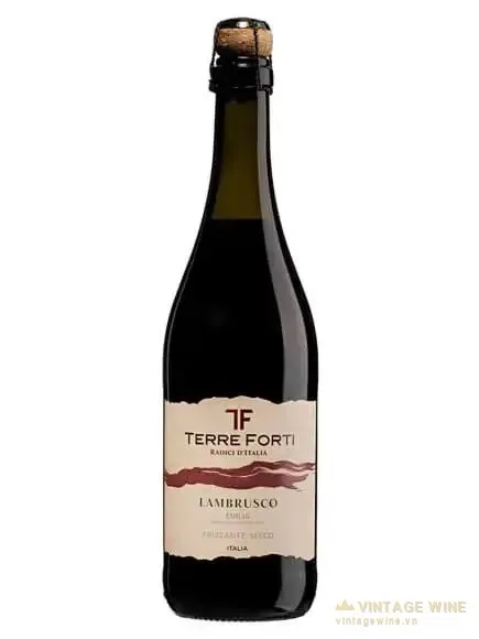Sparkling Terre Forti Lambrusco Emilia