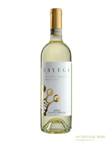 Tenuta Carretta Cayega Roero Arneis