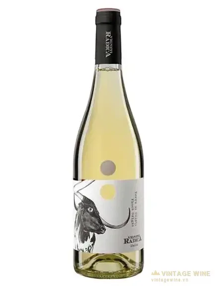 Terre di Chieti Pinot Grigio