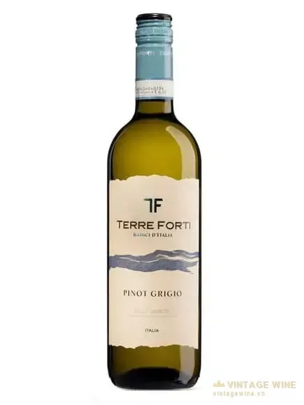 Terre Forti Pinot Grigio