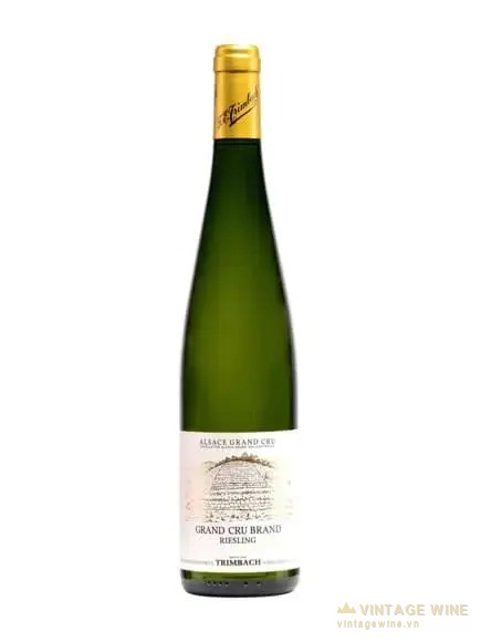 Niên Vụ 2026: Alsace, Sancerre, Đức Hái Nho Sớm Kỷ Lục