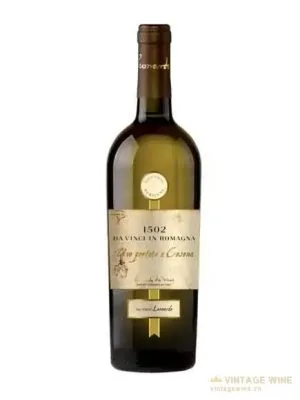 Vang 1502 da Vinci in Romagna Uve Portate a Cesena Sauvignon