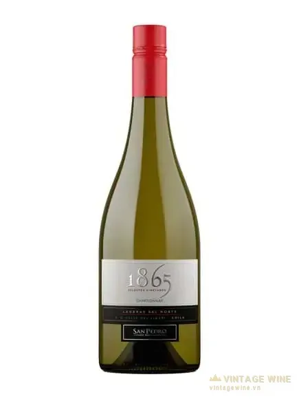 Vang 1865 Selected Vineyards Chardonnay