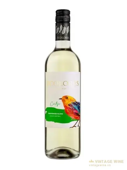 Vang 7 Colores Sauvignon Blanc Varietal