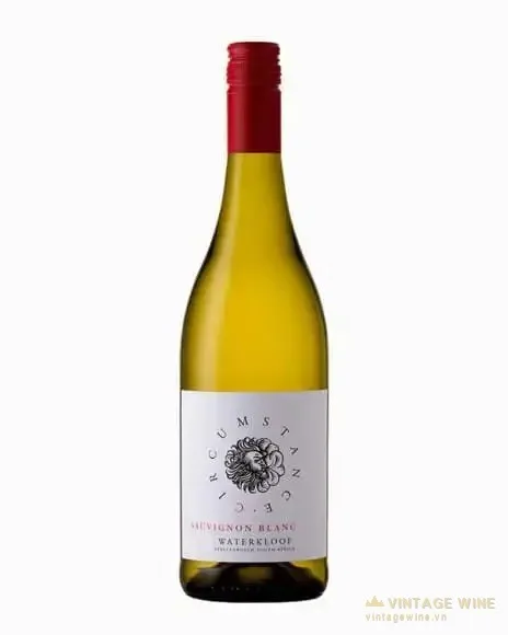 Vang Circumstance Sauvignon Blanc