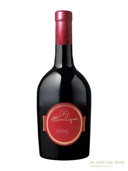 Vang Cote Atlantique Malbec