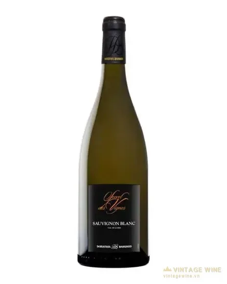 Vang Donatien Bahuaud Secret des Vignes Sauvignon Blanc