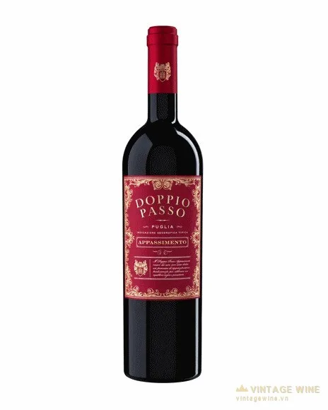 Vang Doppio Passo Appassimento Red Blend