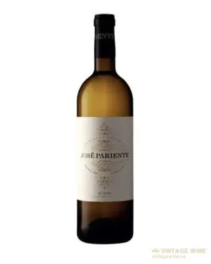 Vang Jose Pariente Verdejo