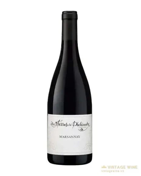 Vang Les Terres de Phileandre Marsannay