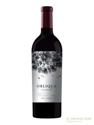 Ventisquero Obliqua Carmenere