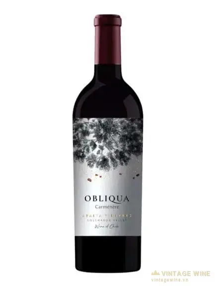 Ventisquero Obliqua Carmenere