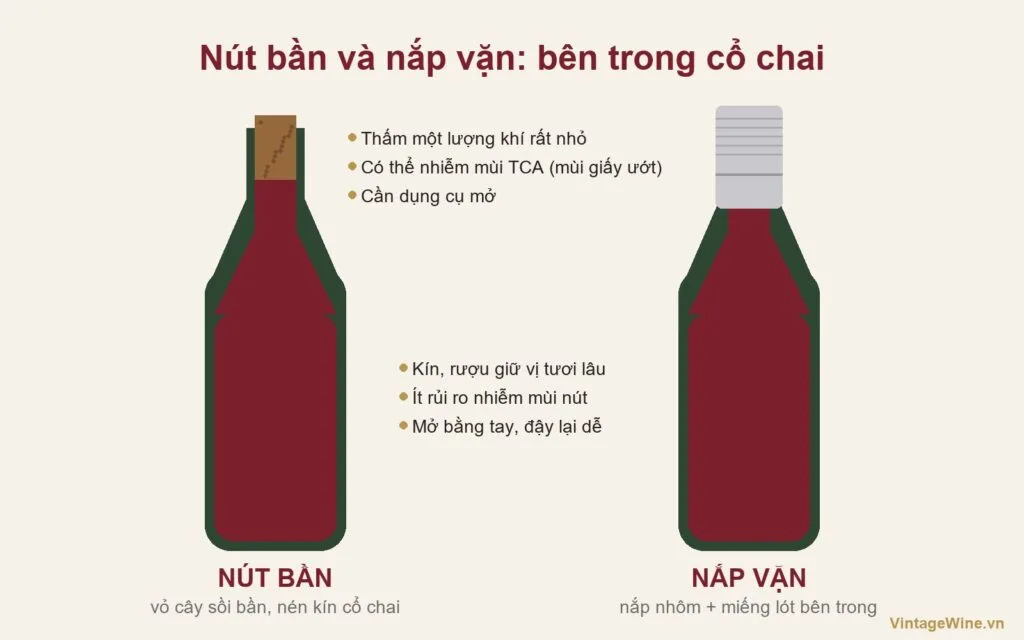 Hình minh hoạ cắt dọc cổ chai rượu vang đóng nút bần và nắp vặn