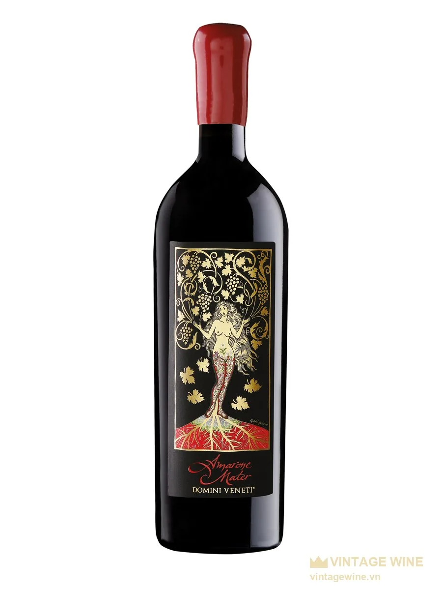 Rượu vang Domini Veneti Mater Amarone della Valpolicella Classico Riserva